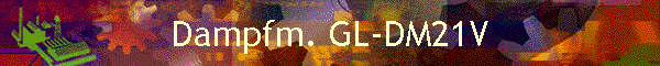 Dampfm. GL-DM21V